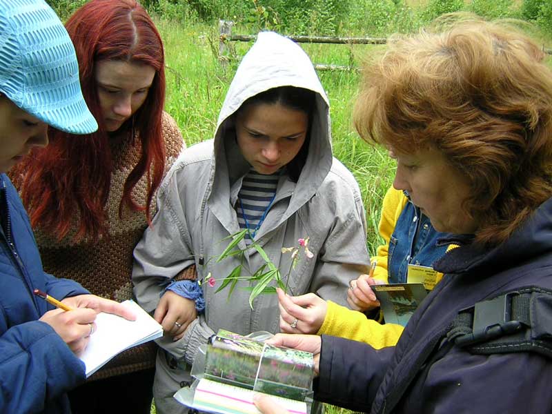Школа Дикой Природы - 2005: знакомство с представителями растительного мира