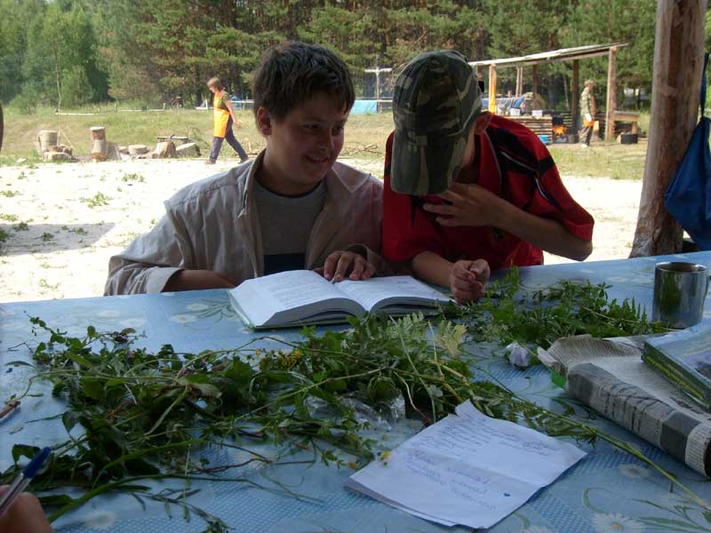 Школа Дикой Природы - 2007: определение собранных растений