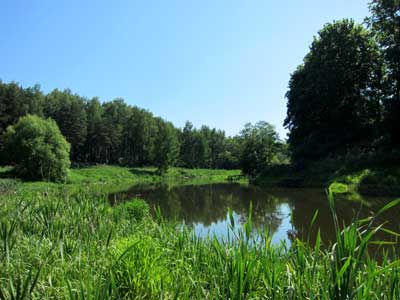 Река Клязьма – река шириной 10-20 метров с медленно текущей водой и илистым дном