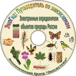 Компьютерный цифровой атлас-определитель травянистых растений (цветов): диск для PC