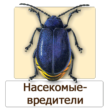 Мобильное приложение Полевой атлас-определитель насекомых-вредителей лесов России