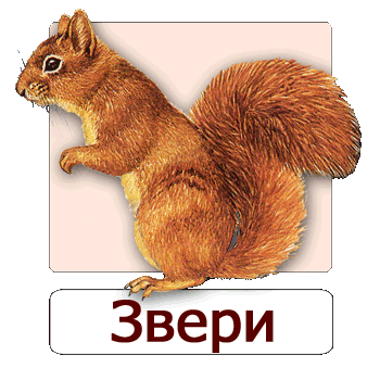 Мобильное приложение Полевой атлас-определитель наземных млекопитающих России