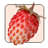 Мобильное приложение полевой атлас-определитель ягод и других сочных дикорастущих плодов России для смартфонов и планшетов андроид