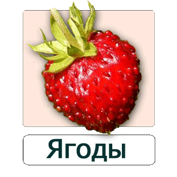Мобильное приложение Полевой атлас-определитель ягод и других дикорастущих сочных плодов России