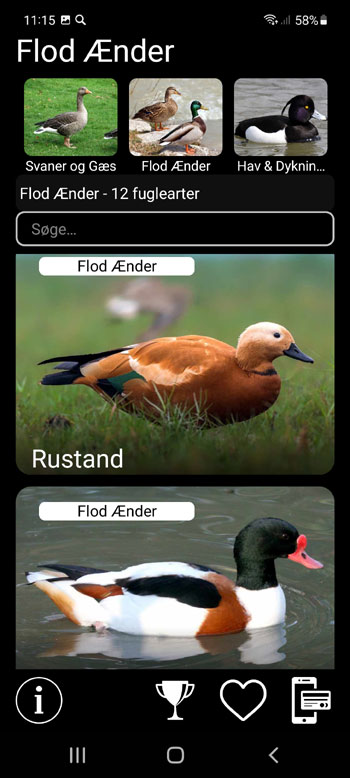 Mobil applikation Lokkefugle til Europas fugle: sange, opkald, lyde, fuglestemmer - systematiske og Гёkologiske grupper