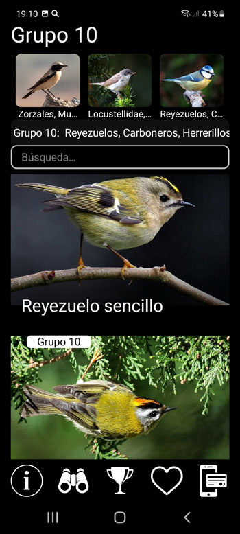AplicaciГіn mГіvil Voces de Aves PRO: Cantos, Llamadas y Sonidos - cribado sistemГЎtico, regional y de grupos ecolГіgicos