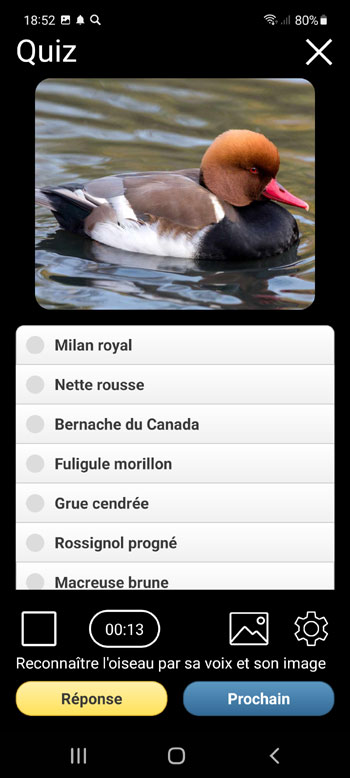 Application Mobile Sons d'Oiseaux EuropГ©ens PRO: Chants, Appels et Voix - Г‰cran de quiz
