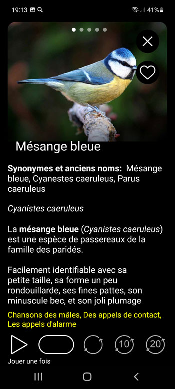 Application Mobile Oiseaux d'Europe Guide PRO: dГ©terminateur de terrain, photos et voix - Г©cran de description des espГЁces d'oiseaux