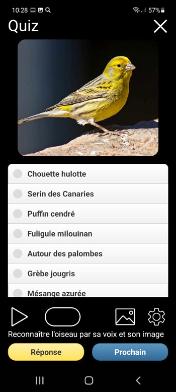 Application Mobile Oiseaux d'Europe Guide PRO: dГ©terminateur de terrain, photos et voix - Г‰cran de quiz