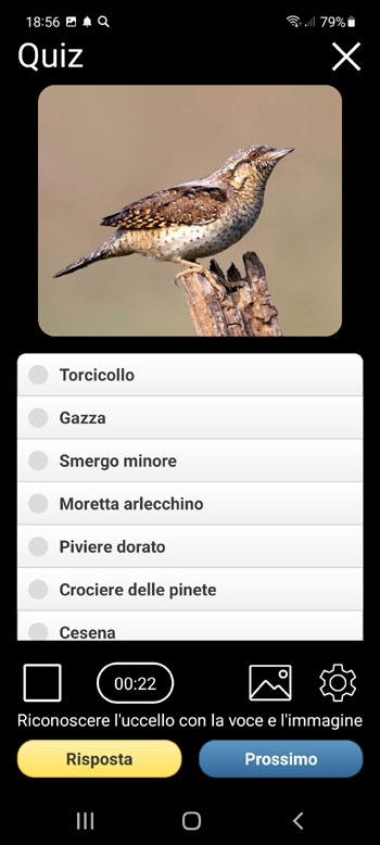 Applicazione mobile Voci di uccelli d'Europa PRO: canzoni, chiamate e grida - Schermata quiz