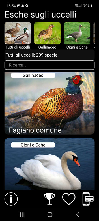 Applicazione mobile Esca sugli uccelli D'Europa: canzoni, chiamate, suoni - schermata principale con tutte le specie di uccelli