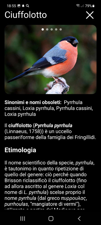 Applicazione mobile Esca sugli uccelli D'Europa: canzoni, chiamate, suoni - descrizione delle specie di uccelli