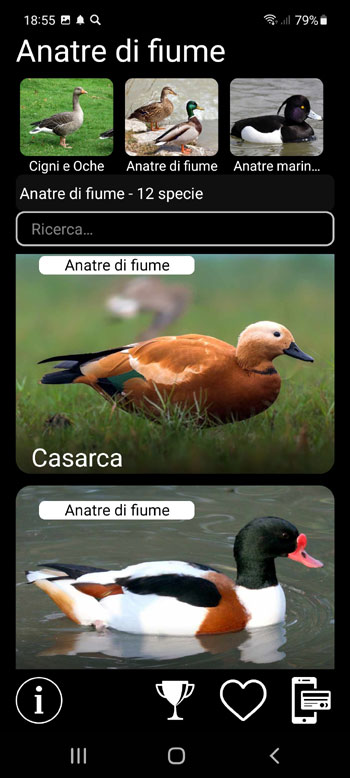 Applicazione mobile Esca sugli uccelli D'Europa: canzoni, chiamate, suoni - schermo dei gruppi sistematici, regionali ed ecologici