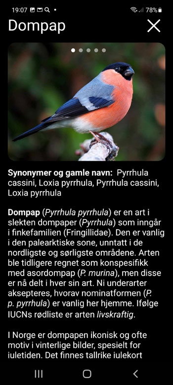 Mobilapplikasjon Europeiske fugler Lokkeduer: Sanger, Samtaler, Lyder - fuglearter beskrivelse skjerm