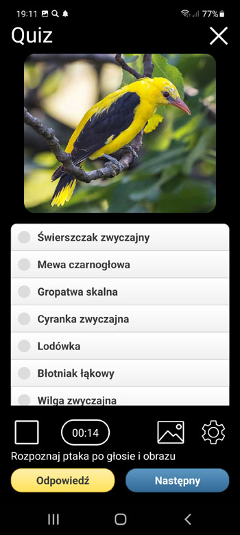 Aplikacja Mobilna GЕ‚osy ptakГіw Europy PRO: pieЕ›ni, rozmowy i gЕ‚osy - Ekran quizu