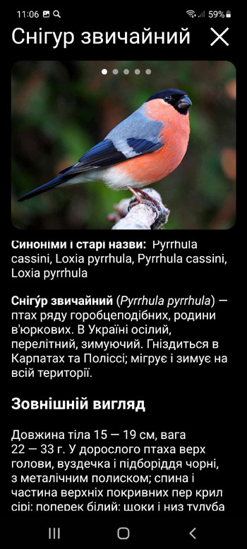 Мобільний додаток Манок на птахів Європи: пісні, позиви, голоси птахів - зображення, опис і записи голосів птахів