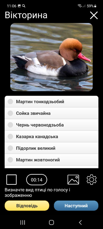 Мобільний додаток Манок на птахів Європи: пісні, позиви, голоси птахів - Вікторина