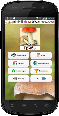 Мобильное приложение Полевой атлас-определитель сумчатых и базидиальных грибов России для Android - главный экран