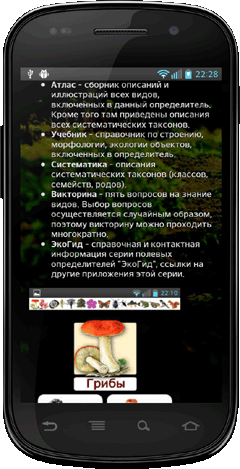 Мобильное приложение Полевой атлас-определитель сумчатых и базидиальных грибов России для Android - инструкция