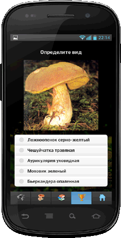 Мобильное приложение Полевой атлас-определитель сумчатых и базидиальных грибов России для Android - викторина