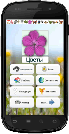 Мобильное приложение Полевой атлас-определитель травянистых растений (цветов) для Android - главный экран