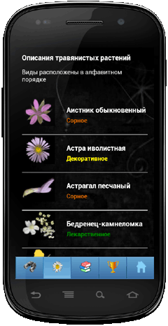 Мобильное приложение Полевой атлас-определитель травянистых растений (цветов) для Android - главная страница Атласа