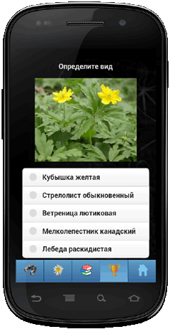 Мобильное приложение Полевой атлас-определитель травянистых растений (цветов) для Android - Викторина