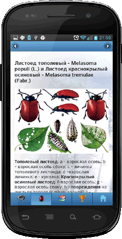 Мобильное приложение Полевой атлас-определитель насекомых-вредителей лесов России для Android - страница описания вида