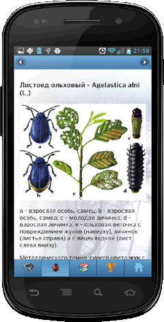 Мобильное приложение Полевой атлас-определитель насекомых-вредителей лесов России для Android - изображения вида