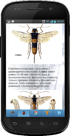 Мобильное приложение Полевой атлас-определитель насекомых-вредителей лесов России для Android - описание вида