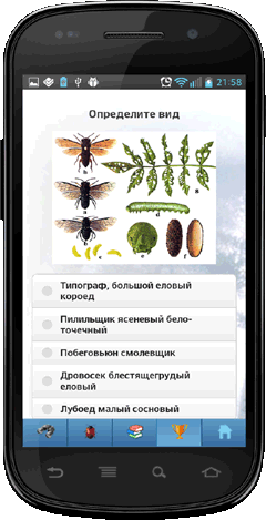Мобильное приложение Полевой атлас-определитель насекомых-вредителей лесов России для Android - викторина