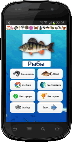 Мобильное приложение Полевой атлас-определитель рыб России для Android - главный экран