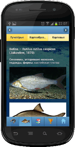Мобильное приложение Полевой атлас-определитель рыб России для Android - фотографии вида