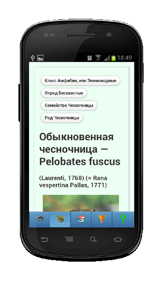 Мобильное приложение Полевой атлас-определитель земноводных для Android - описание вида