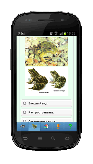 Мобильное приложение Полевой атлас-определитель земноводных для Android - описание вида