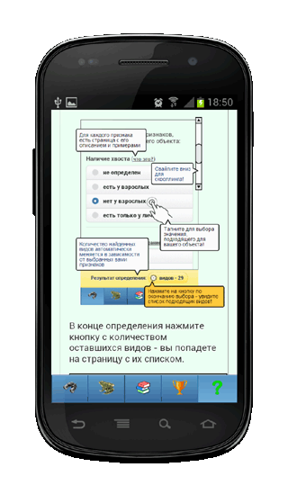 Мобильное приложение Полевой атлас-определитель деревьев зимой для Android - инструкция