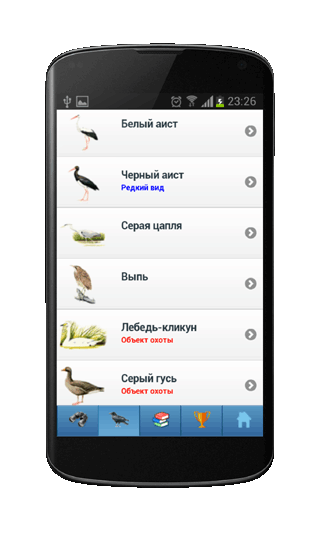 Мобильное приложение Полевой атлас-определитель птиц, птичьих гнезд, яиц и голосов птиц для Android - база данных определителя