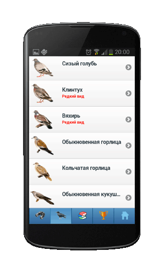 Мобильное приложение Полевой атлас-определитель птиц, птичьих гнезд, яиц и голосов птиц для Android - список видов в атласе