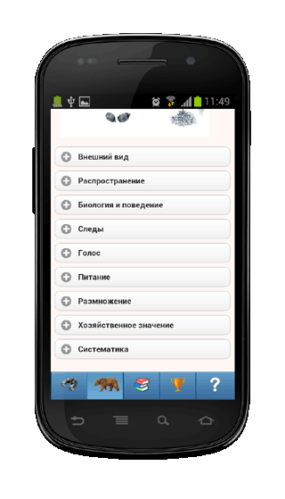 Мобильное приложение Полевой атлас-определитель млекопитающих (зверей) для Android - описания видов