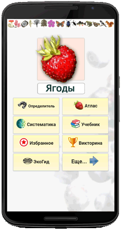 Мобильное приложение Полевой атлас-определитель ягод и других дикорастущих сочных плодов России: приложение для мобильных устройств Android - главный экран