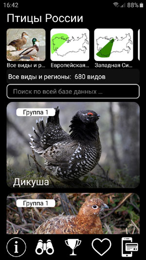 Мобильное приложение Голоса птиц России PRO: главный экран - список всех видов птиц, определитель, викторина