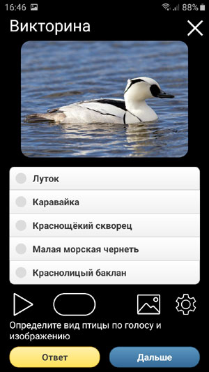 Мобильное приложение Голоса птиц России PRO - Викторина по определению голосов птиц