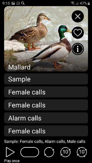 Мобильное приложение Манок на птиц: Птицы Европы на русском, английском, немецком, испанском и французском языках