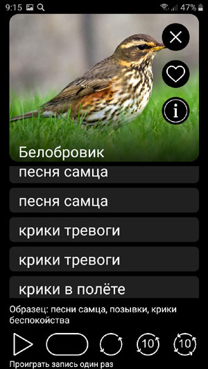 Мобильное приложение Манок на птиц: Птицы Европы - варианты звуковых записей голосов птиц