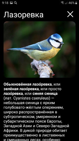 Мобильное приложение Манок на птиц: Птицы Европы - фотографии и текстовые описания птиц