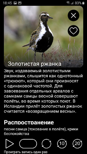 Мобильное приложение Птицы Европы PRO - описания и изображения птиц, варианты проигрывания голосов