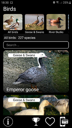 Mobile field Guide app Birds of North America: Decoys - main screen with all bird species
