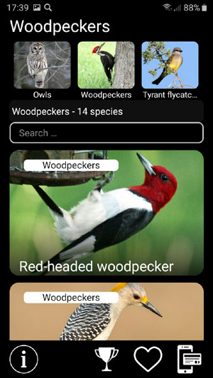 Мобильное приложение Птицы Северной Америки: манок и голоса - Birds of North America: Songs, Calls & Decoys - список видов птиц в группе Дятловых Woodpeckers