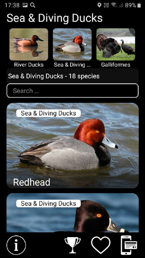 Мобильное приложение Манок на птиц: Птицы Северной Америки - Birds of North America: Decoys - список видов птиц в группе Морские и нырковые утки Sea & Diving ducks