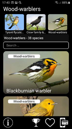 Мобильное приложение Манок на птиц: Птицы Северной Америки - Birds of North America: Decoys - список видов птиц в группе Древесницевые Wood warblers